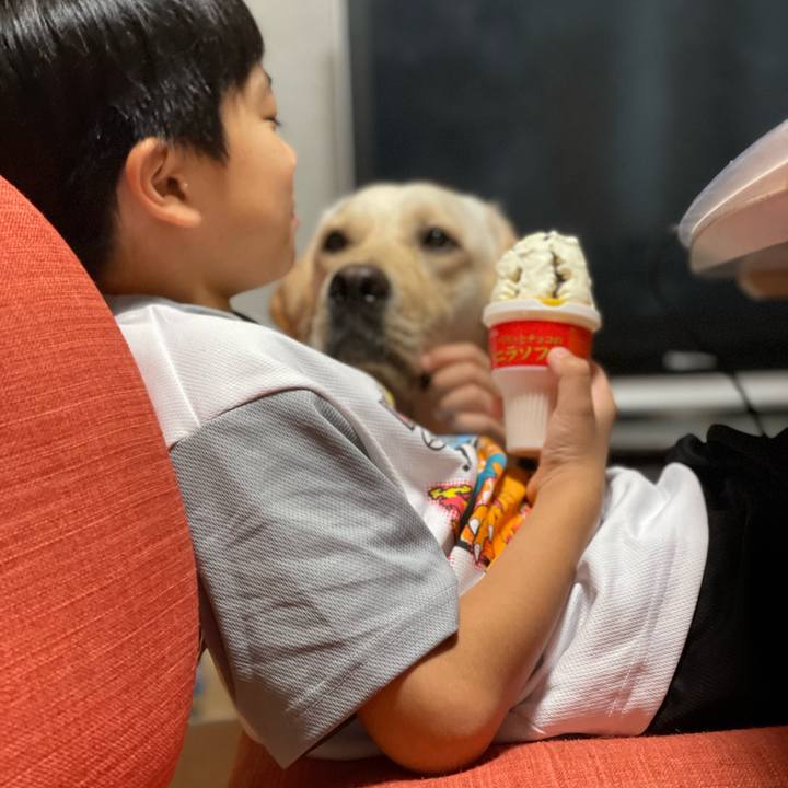 D62ef033 8652 4bdd aea4 a844729f0c2c 1661525405367