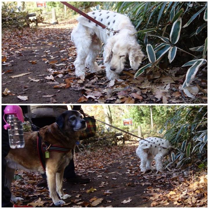 D62ef623 89df 4621 8e64 82ae153c8c18 1545613887839