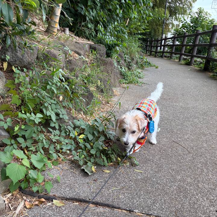 D62f080d 0381 421a beb9 fe8f1decb46a 1758955418233