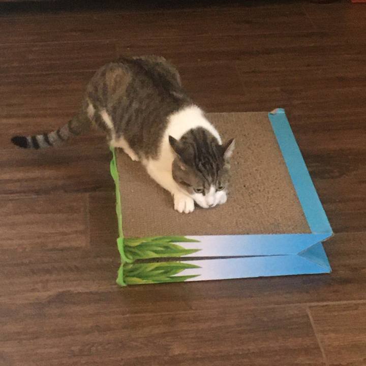 D62f1e41 fcdb 4b1c 9742 ee316791bdd6 1659652760137