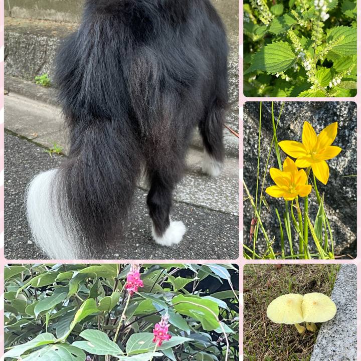 D62f20e6 019b 46b8 b7c5 566c8191ceb2 1757897074886