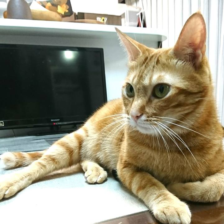 D62f2e3b 4e82 4727 a6e9 535a8d63cd7a 1539730799256