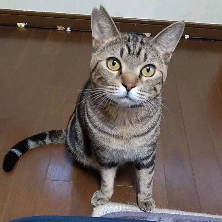 D62f38b6 61d4 442d 924b 65c5bb98fb83 1702457076059