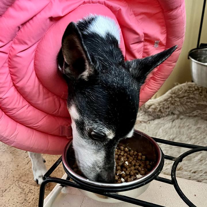 D62f408a ff8b 47f7 a88a a0c41269cff7 1648852374337