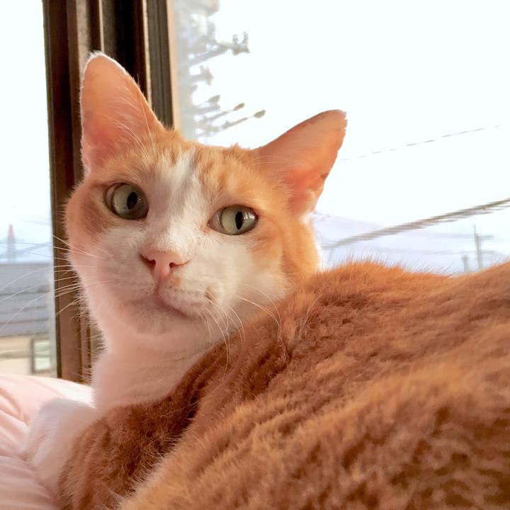 D62f7916 bfa0 45fb 9964 f17929b591bf 1568773624686