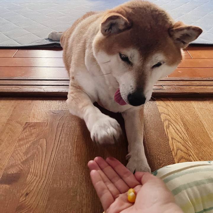 D62f8023 5c2f 48e2 9e0f 7b60ecd780e4 1723776244174