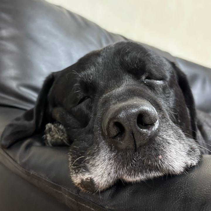 D62f9f69 c603 4712 88e9 0b72fa475675 1764975063778