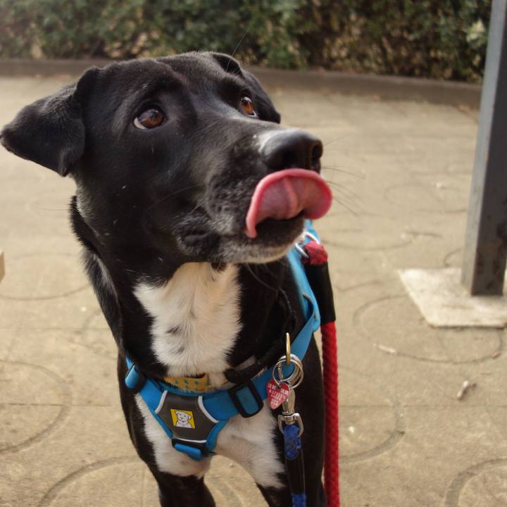 D62fa672 f4b9 4863 8742 3da77c5aa825 1614818458904