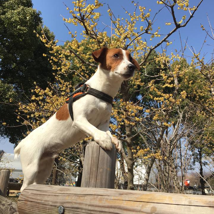 D62ff2c9 ed3d 49b1 8581 8a436462ef6c 1520759750524