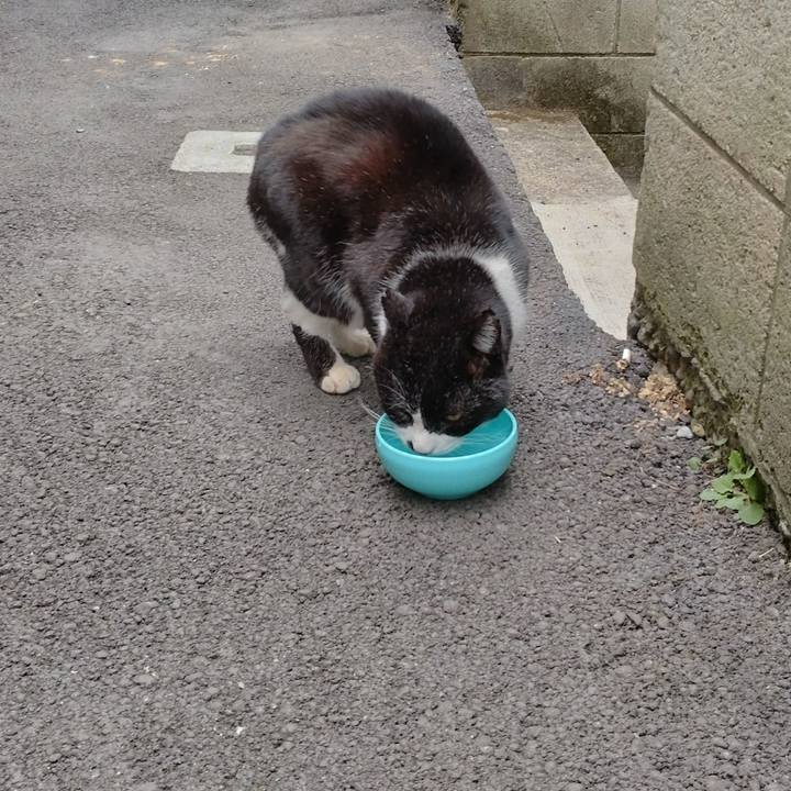 D62ffa53 a39b 47de a4a8 1daa05e4a489 1705713623657