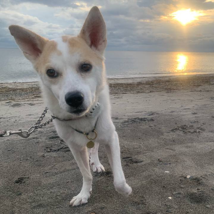 D630132b 2bac 4885 a305 66148722bba0 1695907015051