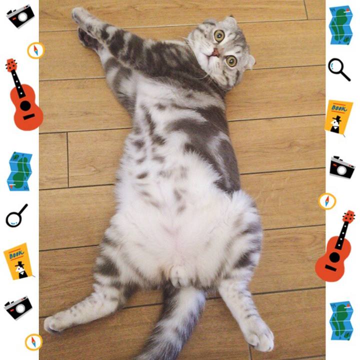 D63047bf 5540 40a0 8ba2 fe70e098e532 1595325908375