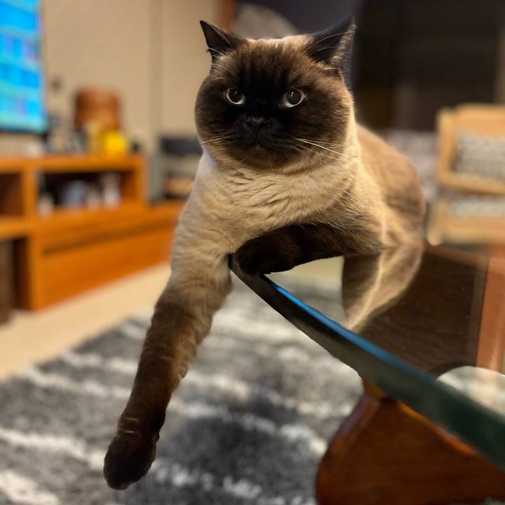 D6304a82 4177 48a6 9a5c 8154802d771b 1678446772302