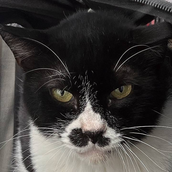 D6305e54 8a1a 4b3e 88fe ff5eeee9201a 1688117774572