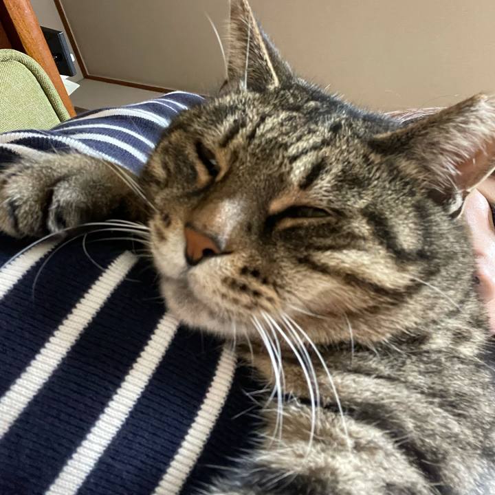 D630726d 58cd 46d1 964b 24c1f7c2cfc7 1637492897151