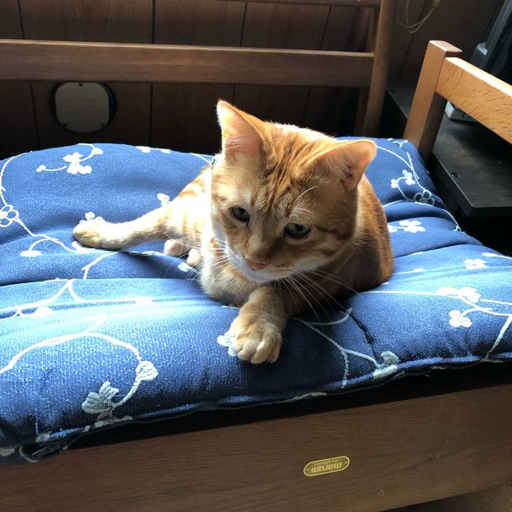 D6308408 e2e9 446b 938b 10a3da5907d0 1557896987227