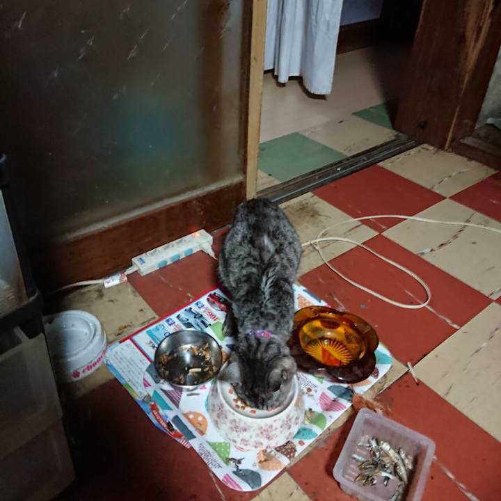 D6309150 7138 4e5d 902e 68362a5a31b1 1593891881083