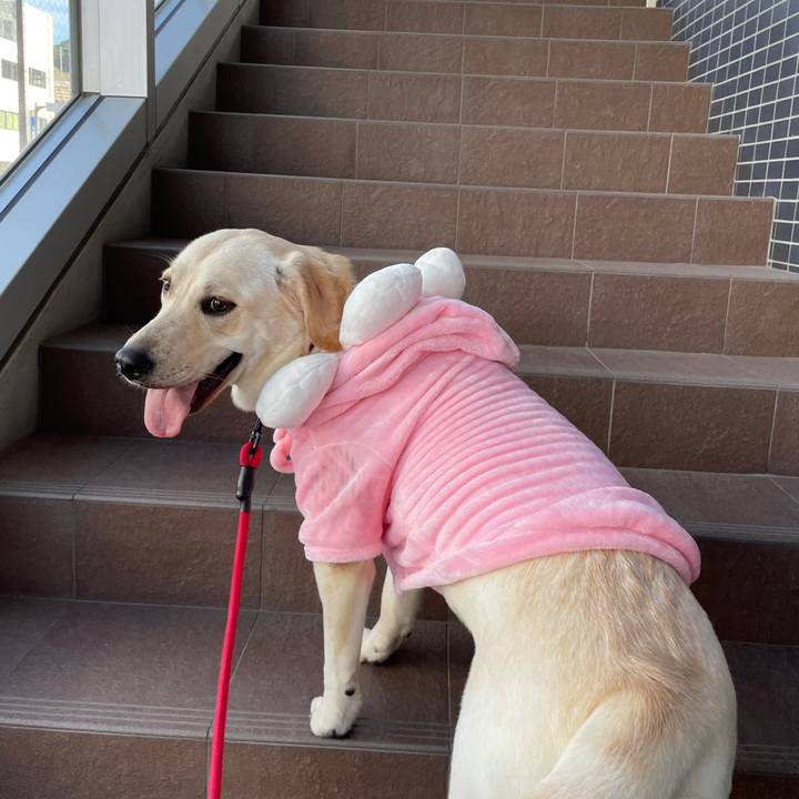 D630caac cfcb 4754 8de1 ed995c8ca033 1634540041778