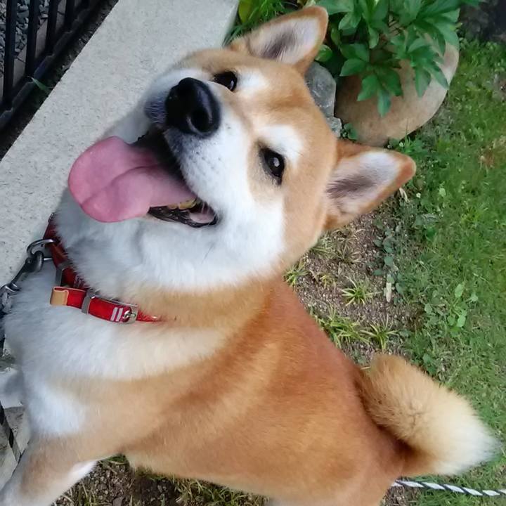 D630fe11 9b64 4ee5 a704 0b9e87674b85 1590365291976