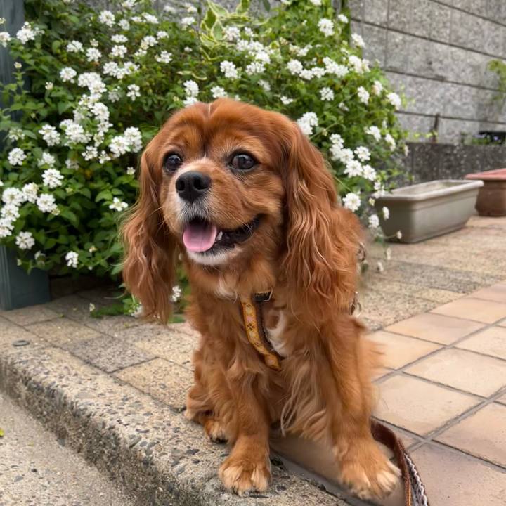 D6311551 fbeb 43c1 9e61 a6810d6d44b0 1654902724914