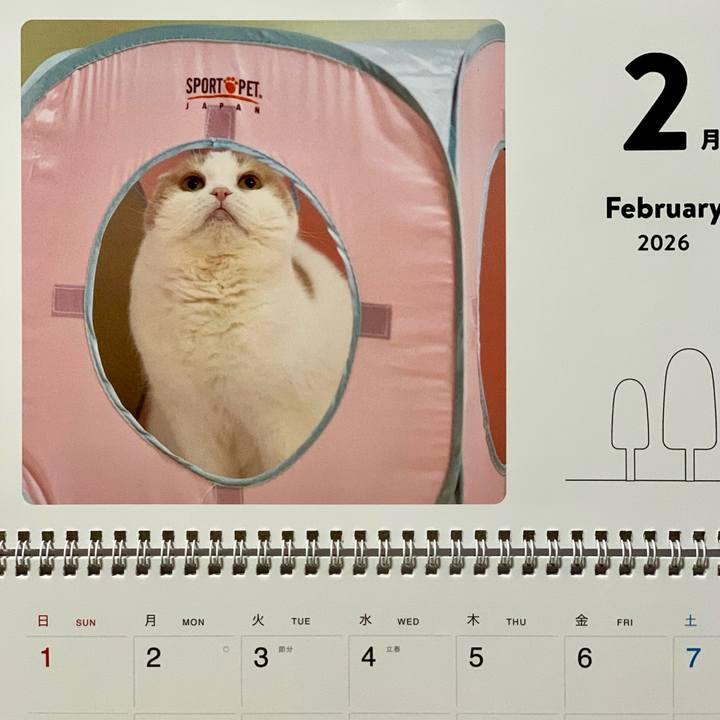 D6311ac4 5075 4681 a148 169dcdc73fef 1769901480114