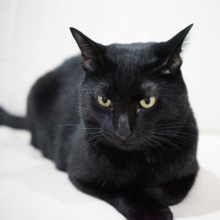 D63171ed df3e 4dd5 8166 8e6c41faca99 1539560619307