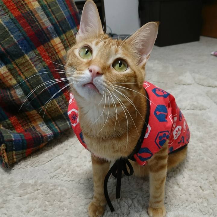 D63175b5 7c3a 4058 9034 dc9cab9135c3 1511594618397