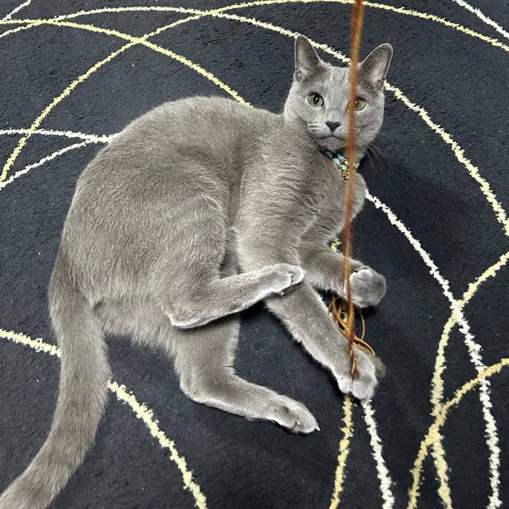 D63198ef b8f2 4bc3 8bfd 896a7f8bfe41 1710628130765