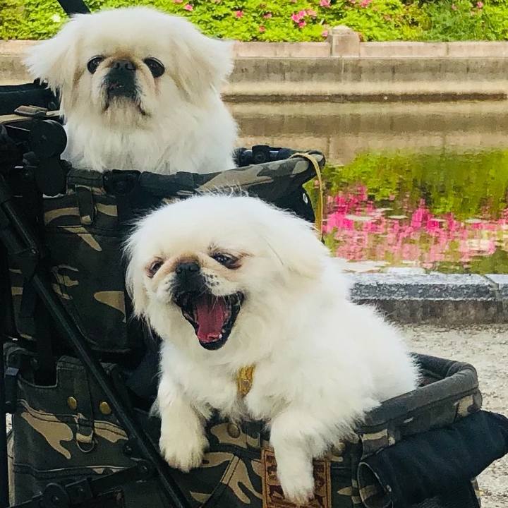 D631a61a 9172 4c63 85db d53baf81d533 1619316791046