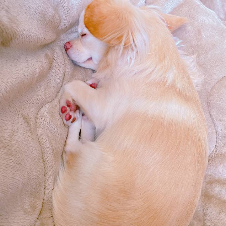 D631cb57 64c0 4503 a1f2 d3d415a39d01 1635852666233