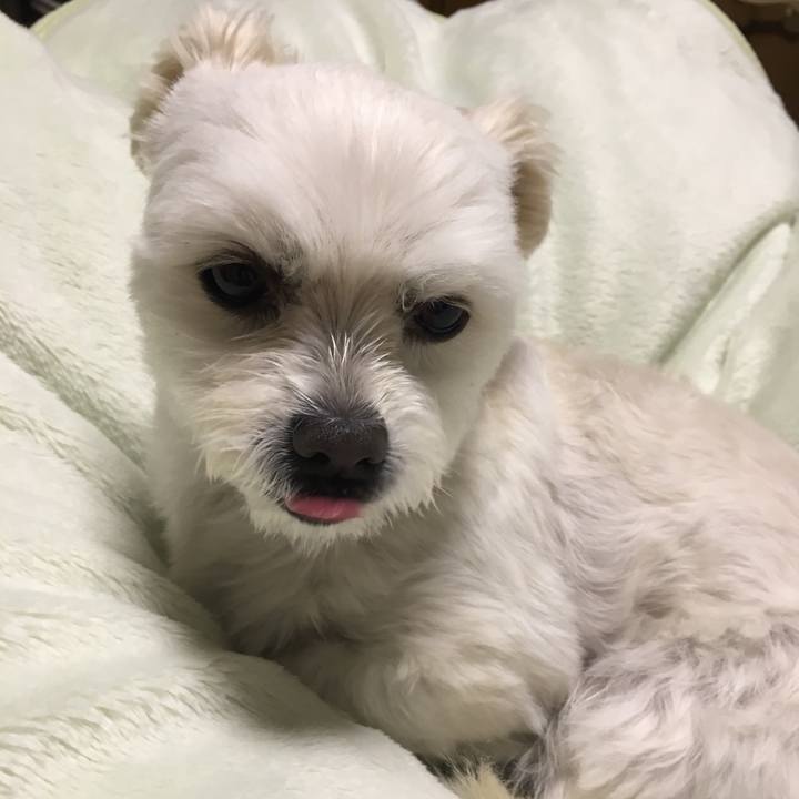 D631cfea bc2b 4669 8295 b13149c0ca7b 1543413813788