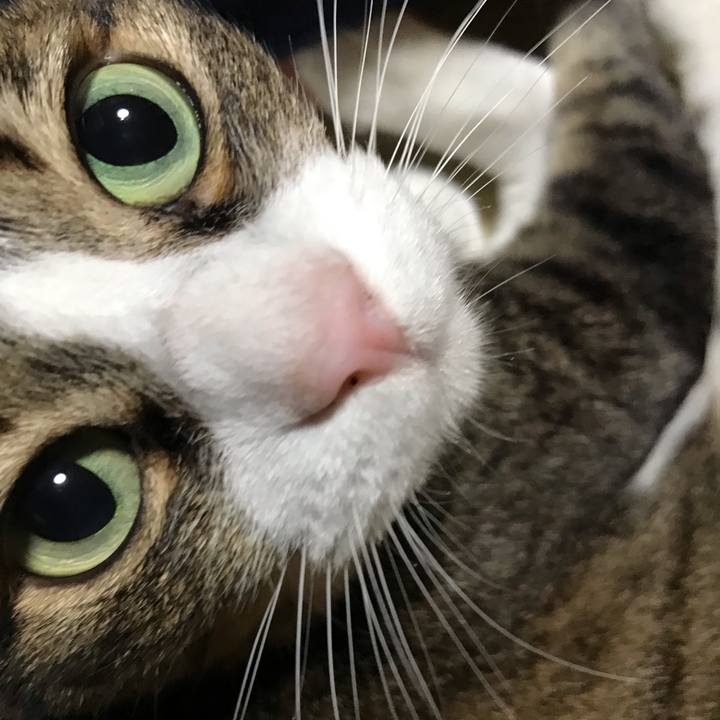 D631f966 9b6c 4fb4 9007 6b6585527c8f 1558100145156