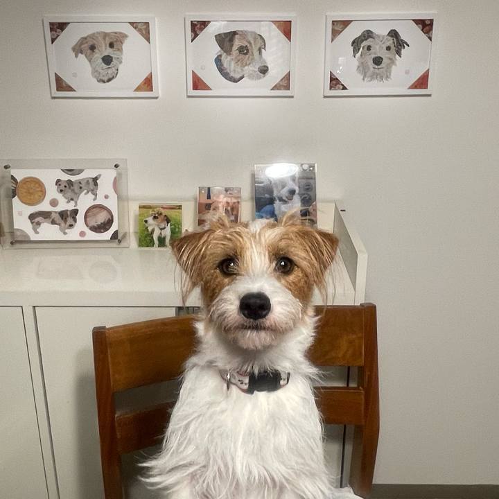 D6321fea 5ee4 4096 b736 587f67afe279 1768137848966