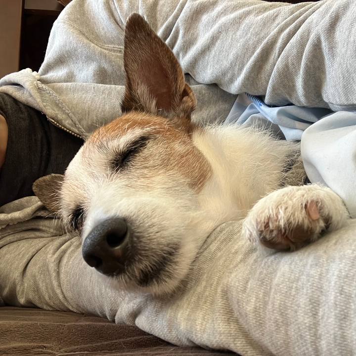 D6327656 3fb3 4e14 8999 9d8166f1ade8 1701732711972