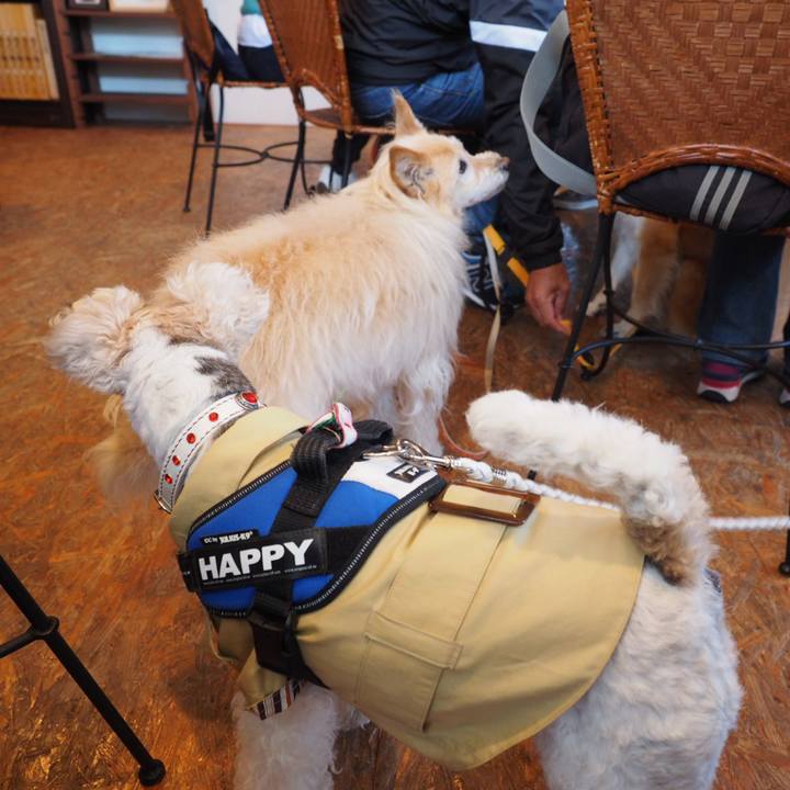 D6327b0e 8a88 4c4f ac69 1a23b48b07da 1555163793415