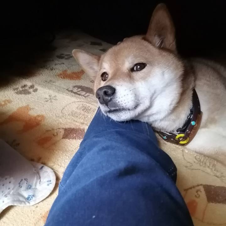 D632a023 10ca 4bd1 bd86 b087a5f2b5cb 1582513525119