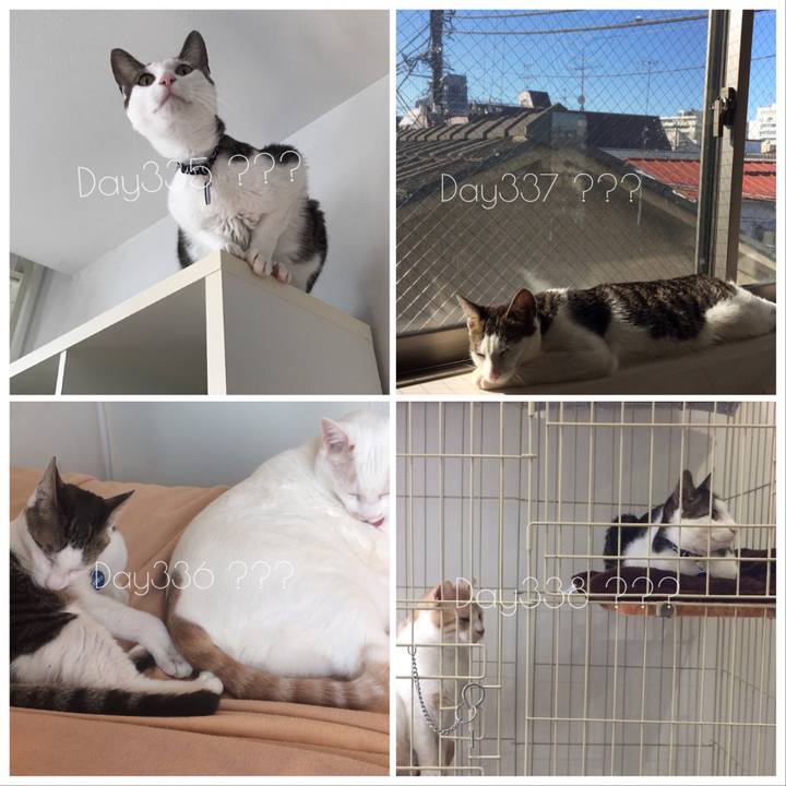 D632f1dd 72ff 49e7 9c14 74b5e9f95b5e 1523796039042