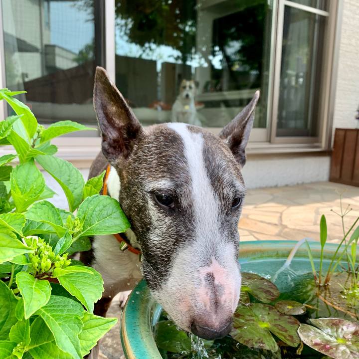 D6331491 597a 4eb8 8b13 569a130cd2ca 1621080293653