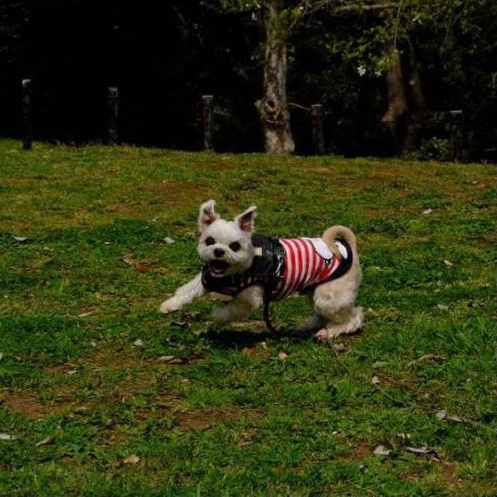 D6332254 039b 4845 8780 c5ef0ded9e4c 1617452403098