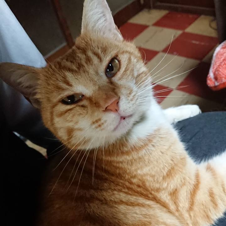 D63340e2 cfea 48c7 8f7b b26230ce97f0 1585737382072