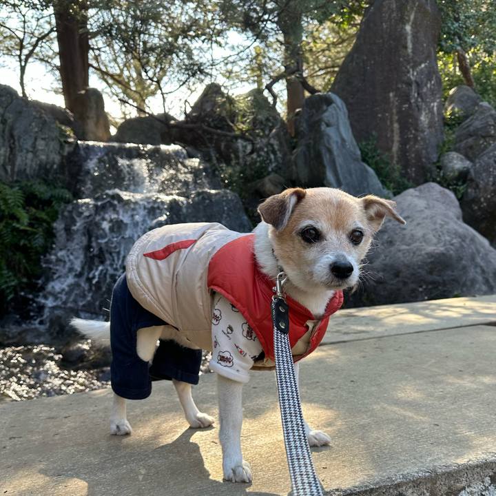 D63343e3 bd8e 4c99 8eea 3ab5c9dbe835 1675588803034