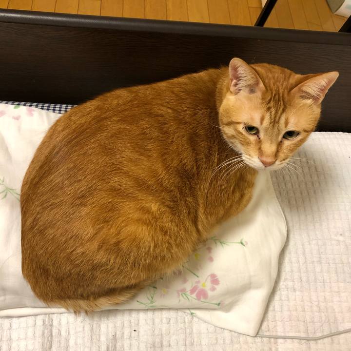 D63356c7 d89d 4552 a4b7 06f8888448e1 1574167382359