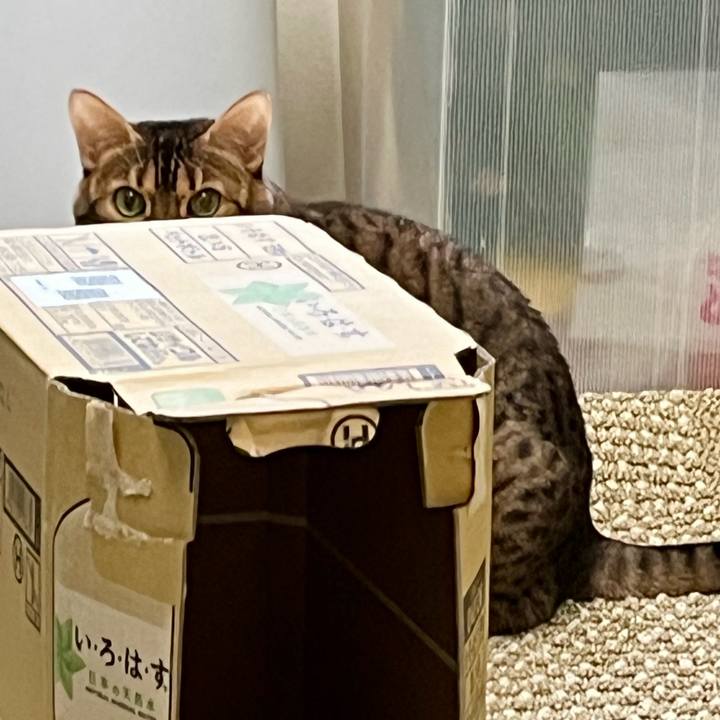 D6340f71 abd8 4b1a a95d 64e565fc390d 1705119613058