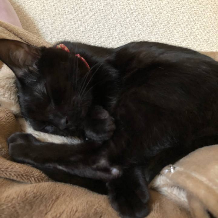 D6343199 33a0 4e3f 86a3 23db87484a14 1520844693661