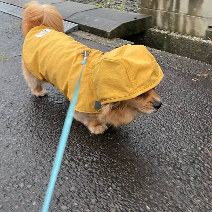 D6344260 af82 4e02 9869 d7848af4335a 1594158266976