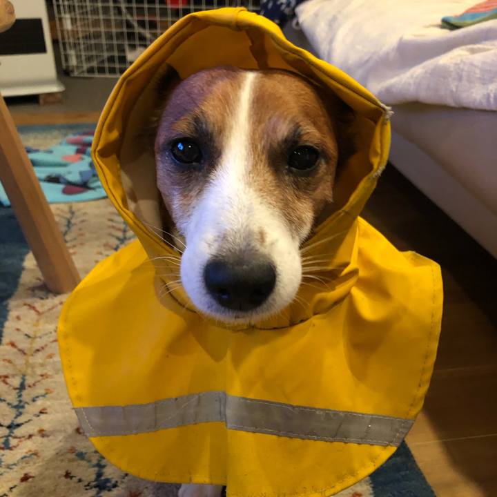 D6347e89 4c10 4719 ad8e 49264aa90c51 1604921108454