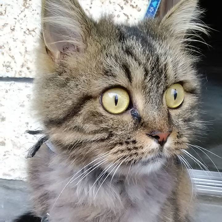 D634844f 9161 4f37 a13d bf3e59421afe 1628727526329