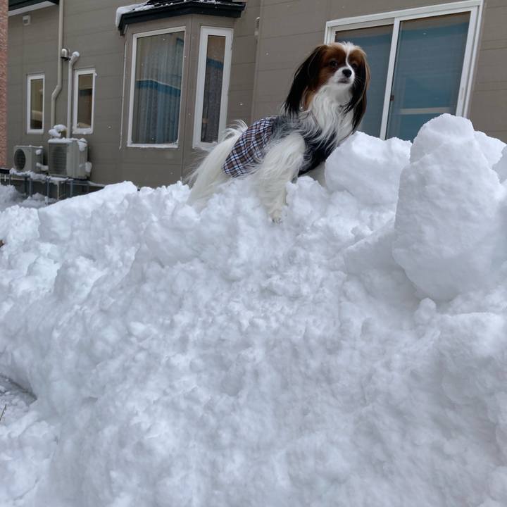 D634968a 719a 4ccc 930b dd6a38ef8bdc 1672804177740