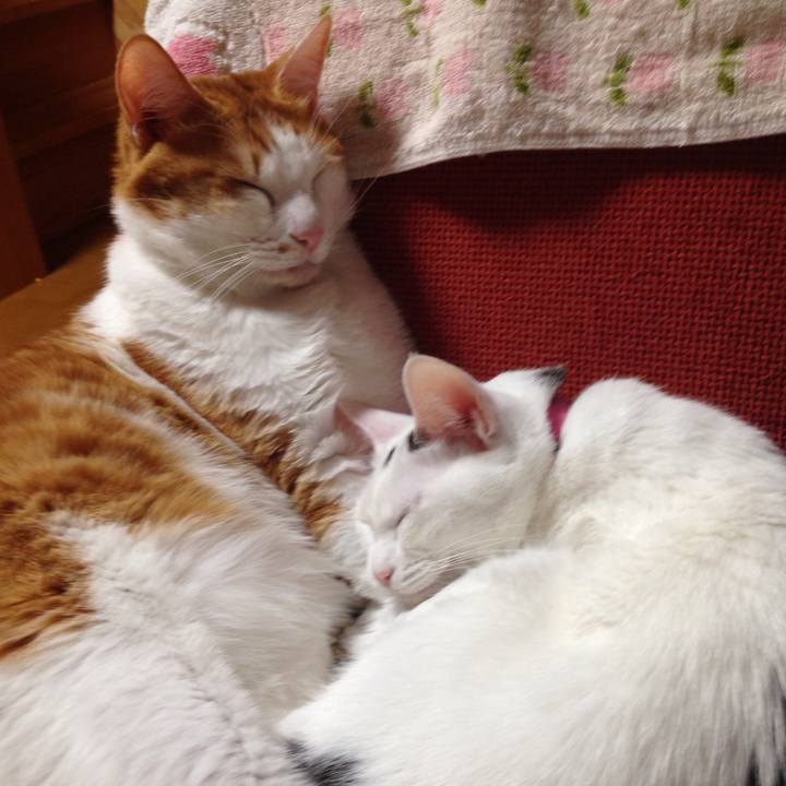 D6349728 ca78 4e0a a03a 6c6a9a948c04 1514388179077