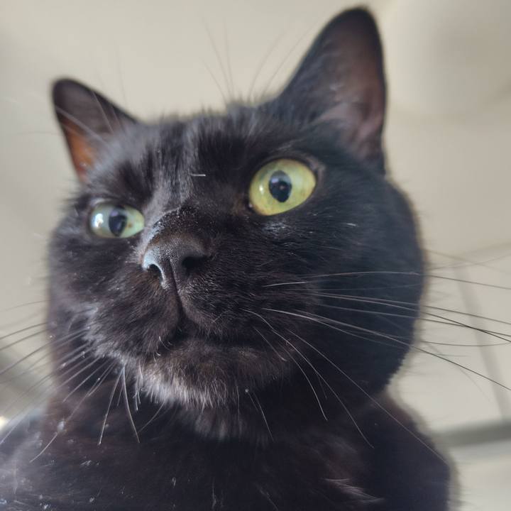 D634ab1b ffa0 4bb3 8f6d c2f07de06dec 1721687855350